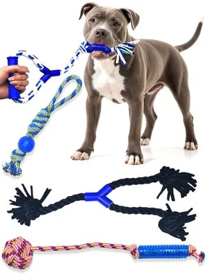 Dog Supplies