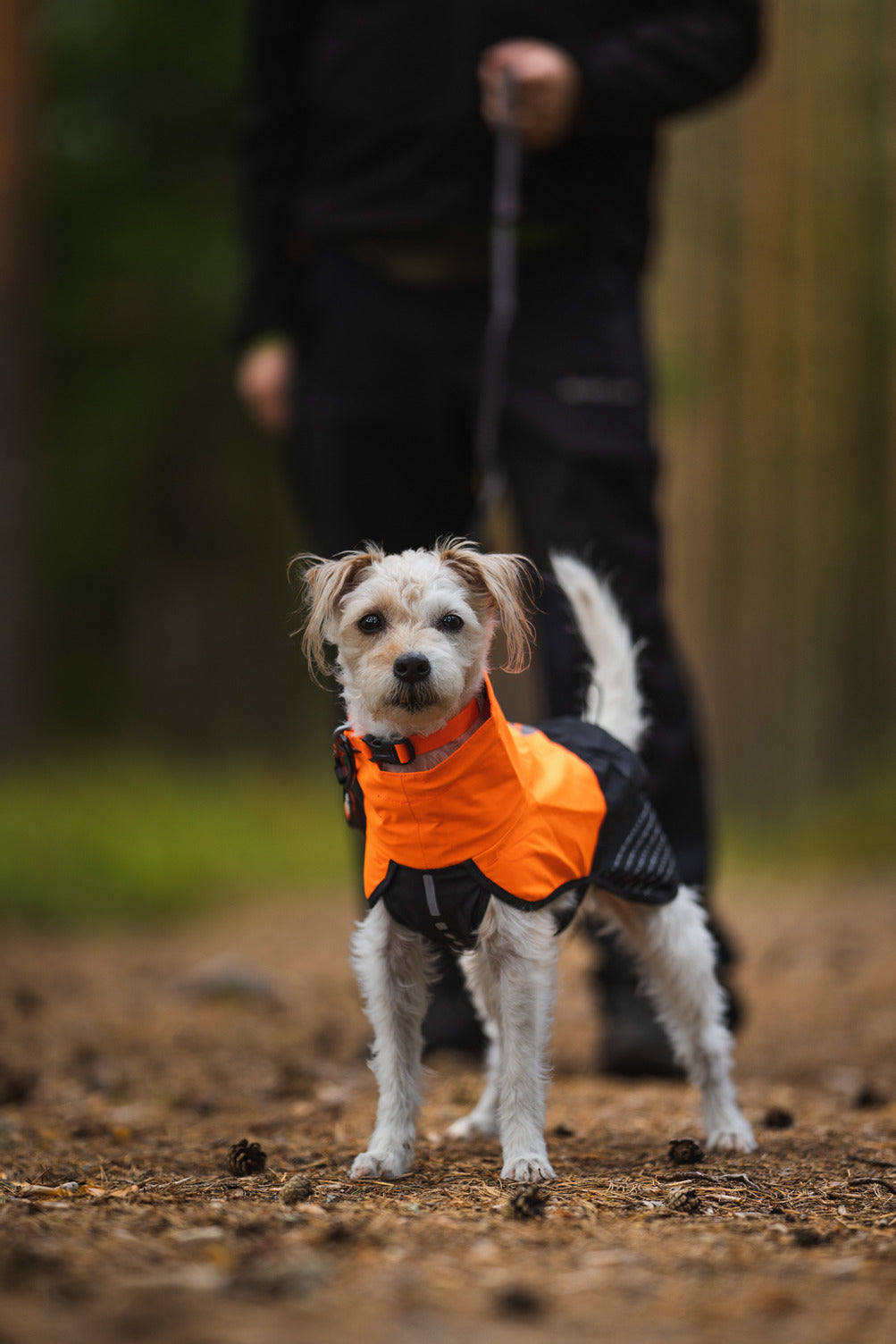 Fjord raincoat 2.0